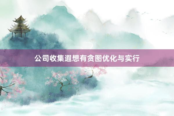 公司收集遐想有贪图优化与实行