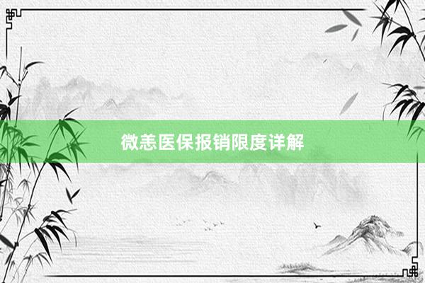 微恙医保报销限度详解